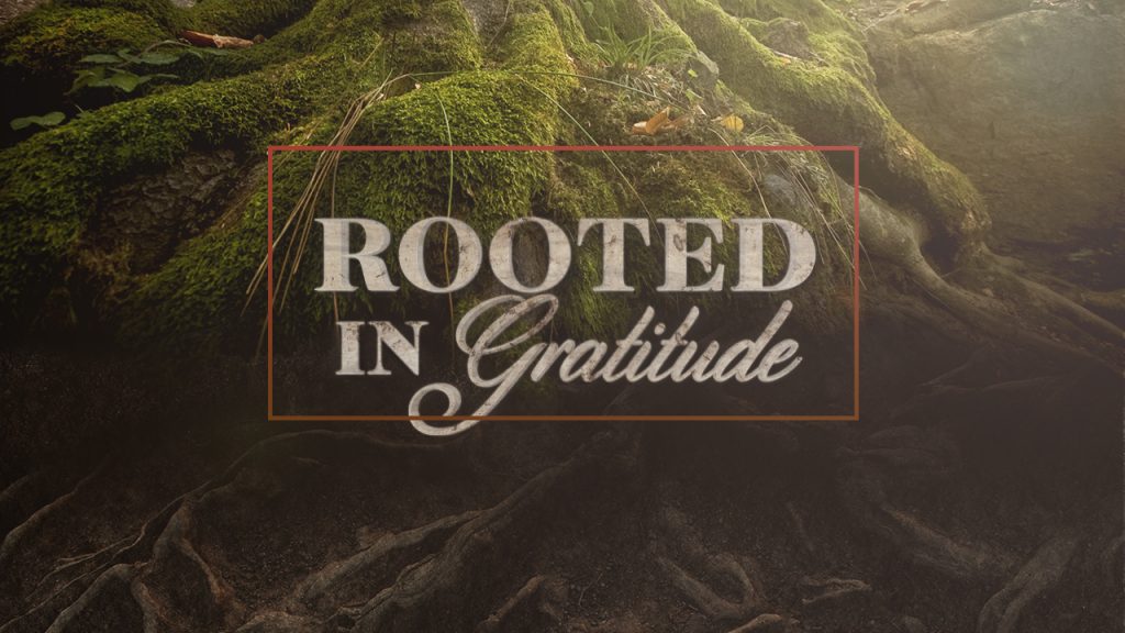 Gratitude: No Coincidences Allowed