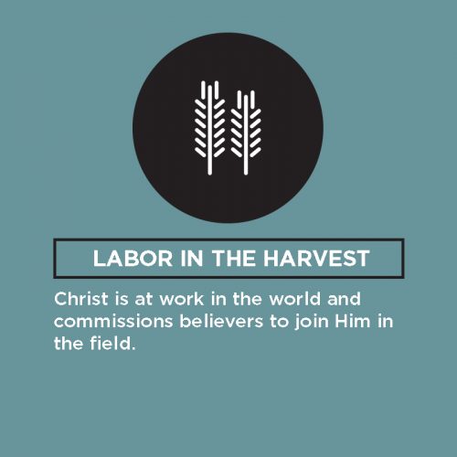 labor-in-the-harvest labor-in-the-harvest