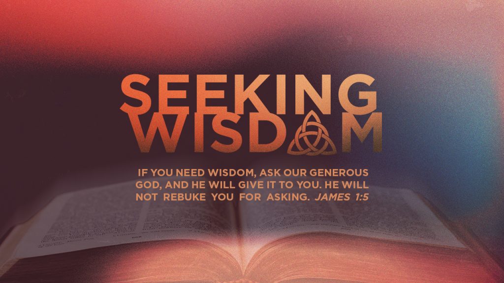Wisdom of the Ant